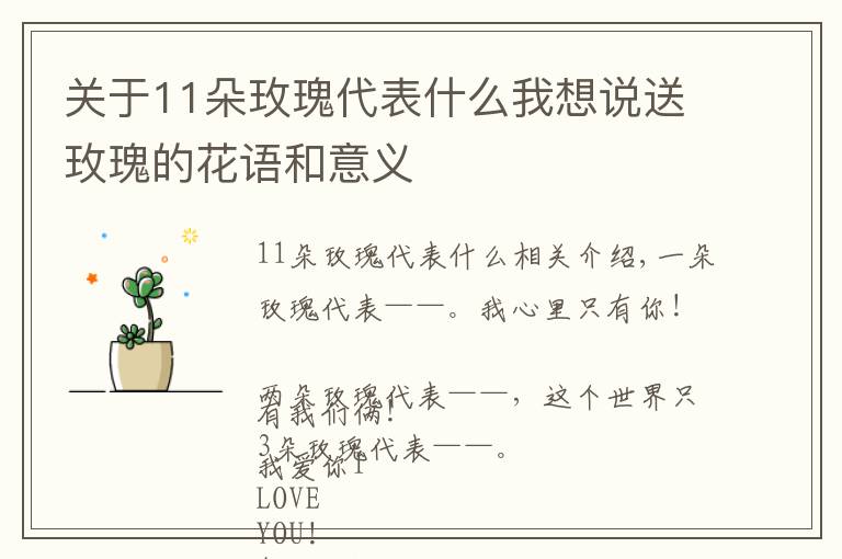 關(guān)于11朵玫瑰代表什么我想說送玫瑰的花語和意義