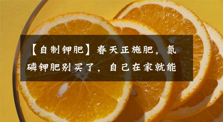 【自制鉀肥】春天正施肥，氮磷鉀肥別買了，自己在家就能做