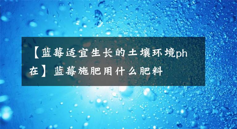 【藍(lán)莓適宜生長(zhǎng)的土壤環(huán)境ph在】藍(lán)莓施肥用什么肥料