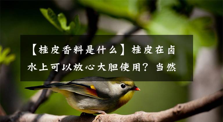 【桂皮香料是什么】桂皮在鹵水上可以放心大膽使用？當(dāng)然不是，還真不是都合適用它