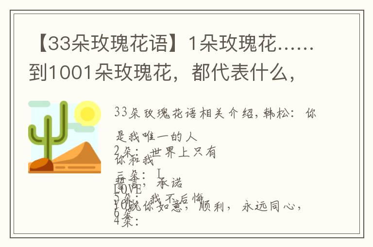 【33朵玫瑰花語】1朵玫瑰花……到1001朵玫瑰花，都代表什么，你知道嗎？