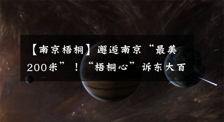 【南京梧桐】邂逅南京“最美200米”！“梧桐心”訴東大百廿情