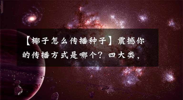 【椰子怎么傳播種子】震撼你的傳播方式是哪個？四大類，十二小類，匯總種子的傳播方式