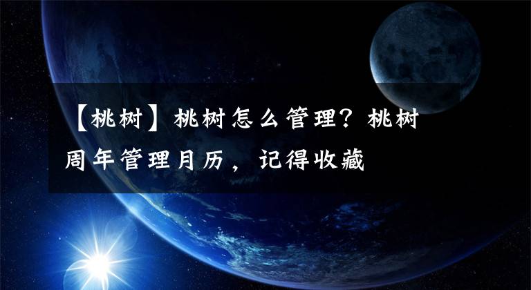 【桃樹】桃樹怎么管理？桃樹周年管理月歷，記得收藏