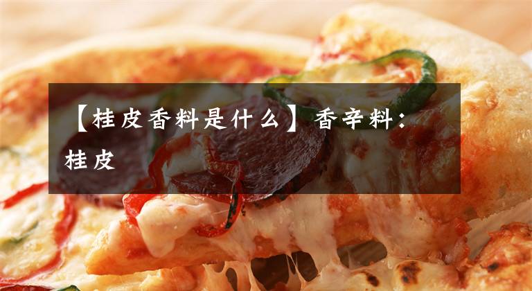 【桂皮香料是什么】香辛料：桂皮