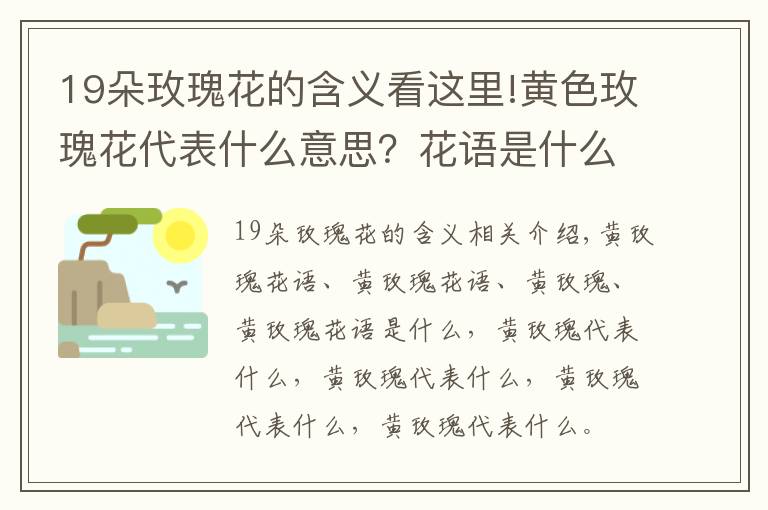 19朵玫瑰花的含義看這里!黃色玫瑰花代表什么意思？花語是什么？