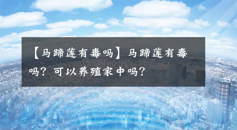 【馬蹄蓮有毒嗎】馬蹄蓮有毒嗎？可以養(yǎng)殖家中嗎？