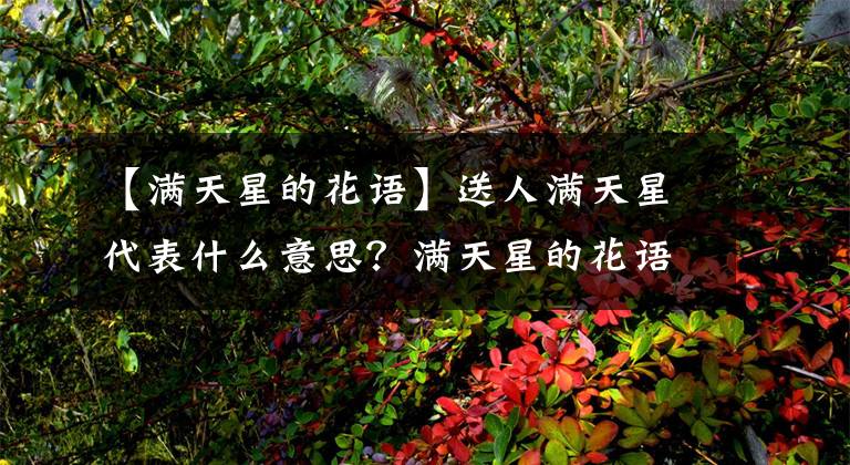 【滿天星的花語】送人滿天星代表什么意思？滿天星的花語是什么？