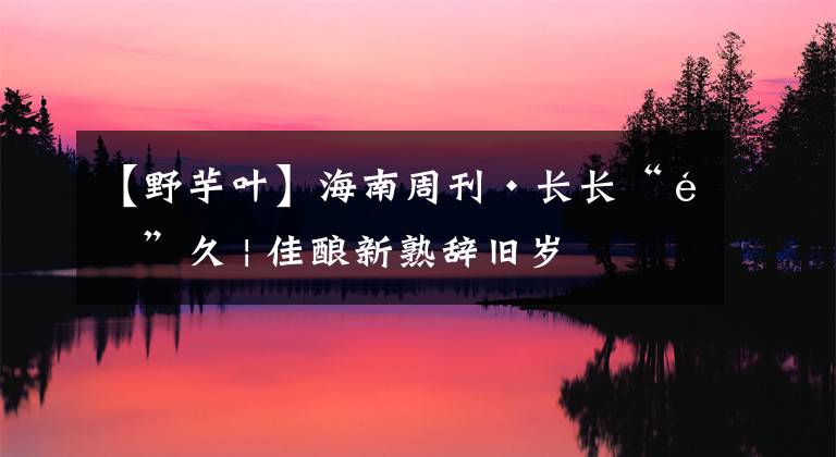 【野芋葉】海南周刊·長(zhǎng)長(zhǎng)“酒”久 | 佳釀新熟辭舊歲