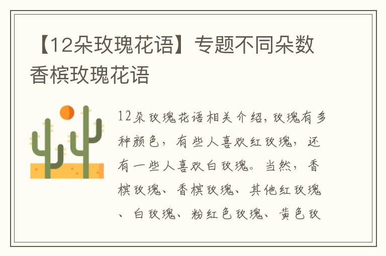 【12朵玫瑰花語】專題不同朵數(shù)香檳玫瑰花語