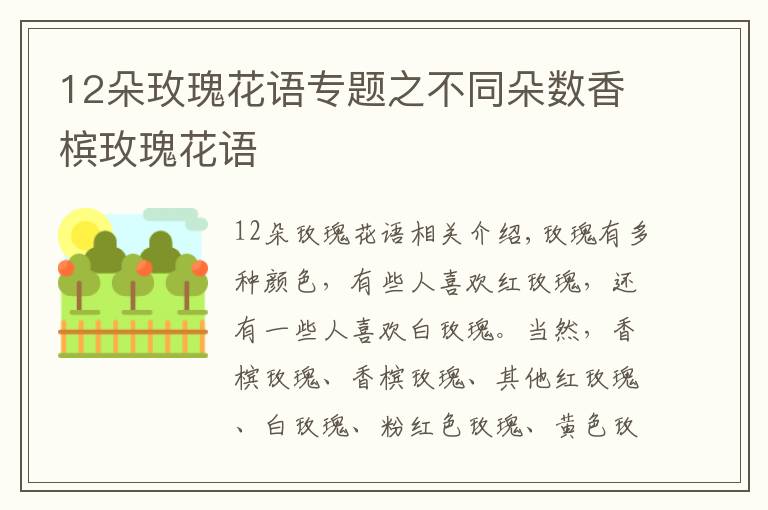 12朵玫瑰花語專題之不同朵數(shù)香檳玫瑰花語