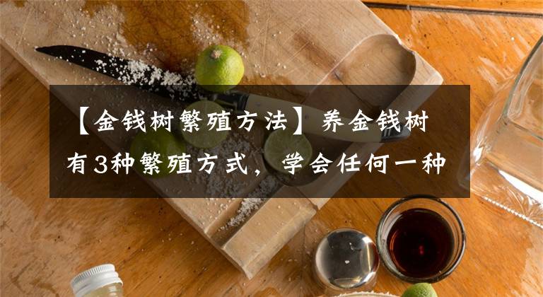 【金錢樹繁殖方法】養(yǎng)金錢樹有3種繁殖方式，學(xué)會(huì)任何一種，都能一盆變多盆