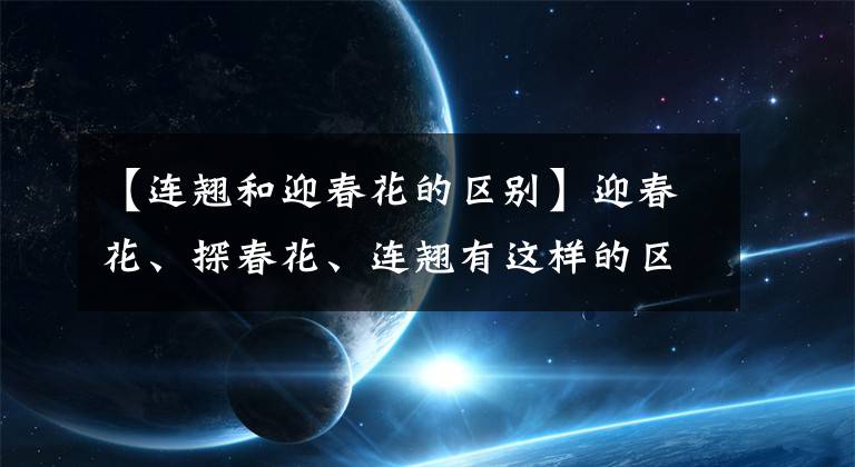 【連翹和迎春花的區(qū)別】迎春花、探春花、連翹有這樣的區(qū)別，從此不會(huì)再認(rèn)錯(cuò)