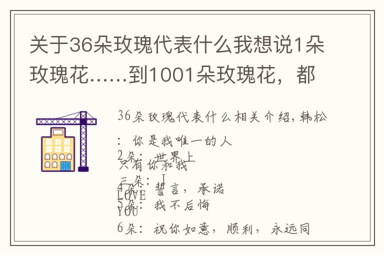 關(guān)于36朵玫瑰代表什么我想說1朵玫瑰花……到1001朵玫瑰花，都代表什么，你知道嗎？