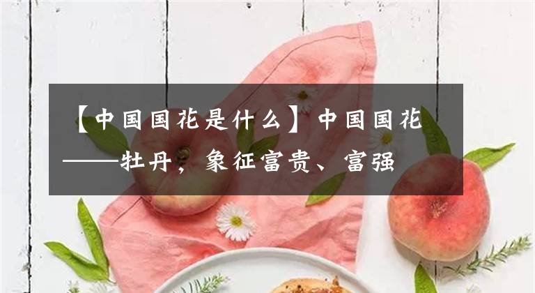 【中國國花是什么】中國國花——牡丹，象征富貴、富強