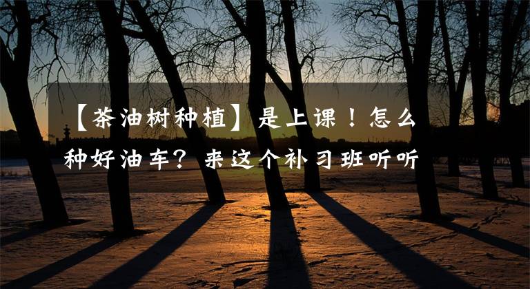 【茶油樹種植】是上課！怎么種好油車？來這個(gè)補(bǔ)習(xí)班聽聽