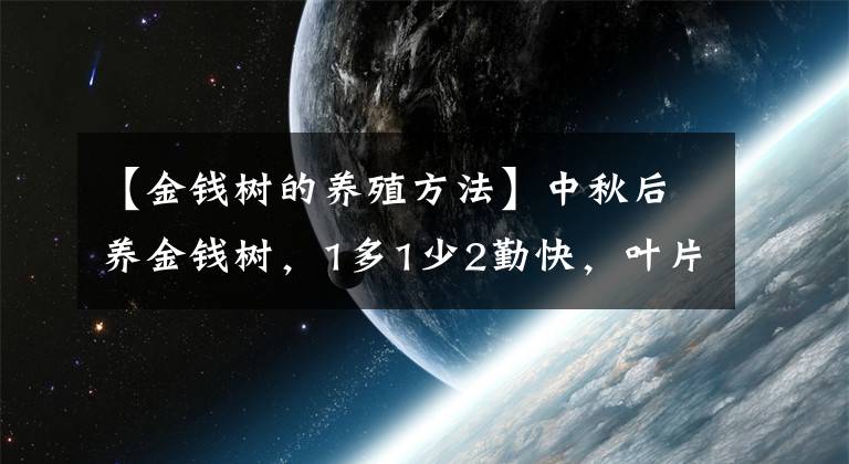 【金錢樹的養(yǎng)殖方法】中秋后養(yǎng)金錢樹，1多1少2勤快，葉片杠杠厚，“筍芽芽”擠滿盆