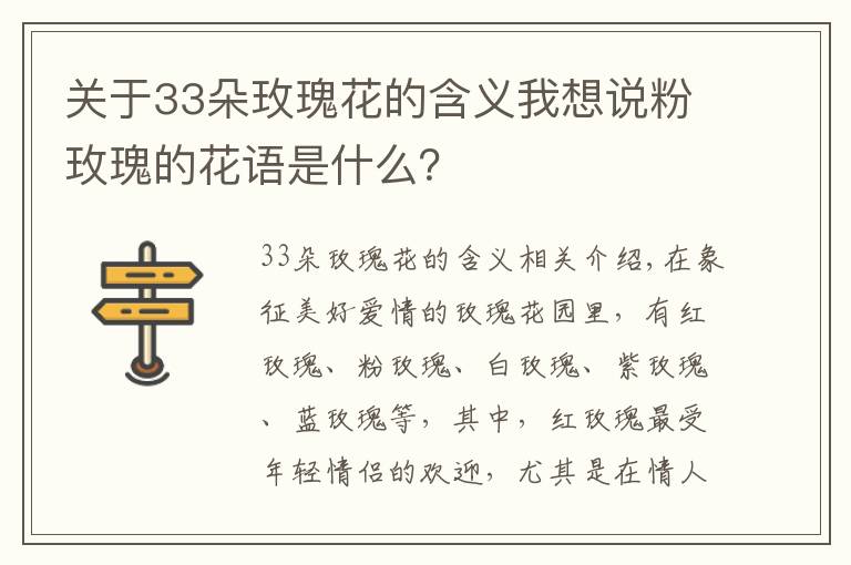 關(guān)于33朵玫瑰花的含義我想說粉玫瑰的花語(yǔ)是什么？