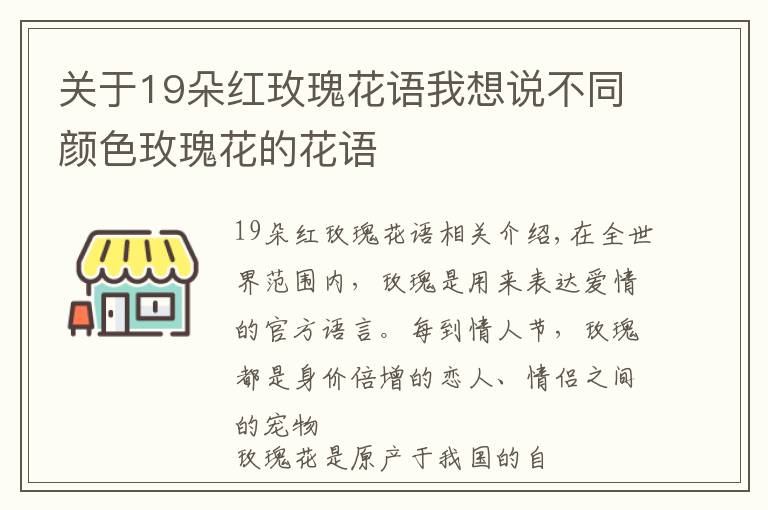 關(guān)于19朵紅玫瑰花語我想說不同顏色玫瑰花的花語