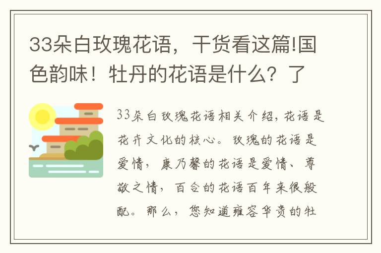 33朵白玫瑰花語，干貨看這篇!國色韻味！牡丹的花語是什么？了解一下吧