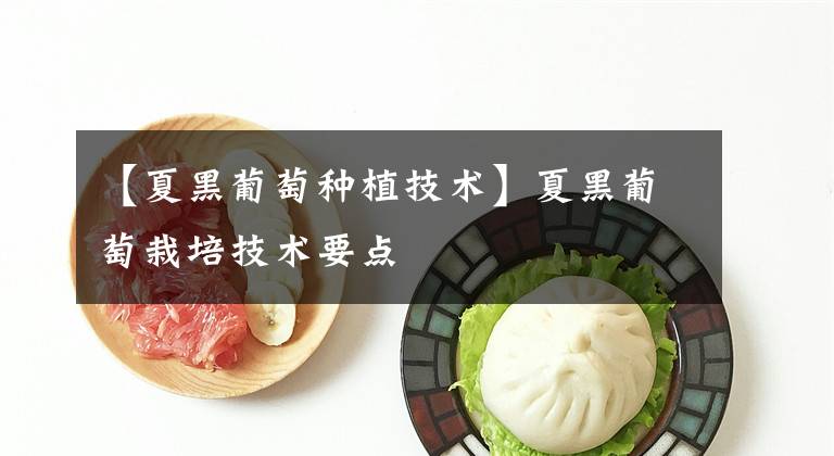 【夏黑葡萄種植技術(shù)】夏黑葡萄栽培技術(shù)要點(diǎn)