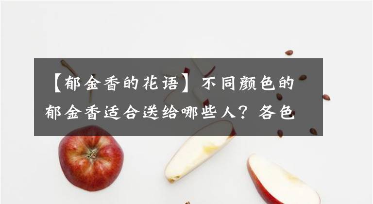 【郁金香的花語】不同顏色的郁金香適合送給哪些人？各色郁金香的花語是什么？