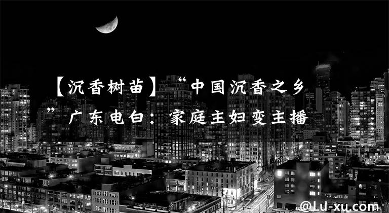 【沉香樹(shù)苗】“中國(guó)沉香之鄉(xiāng)”廣東電白：家庭主婦變主播 沉香化身“金鑰匙”