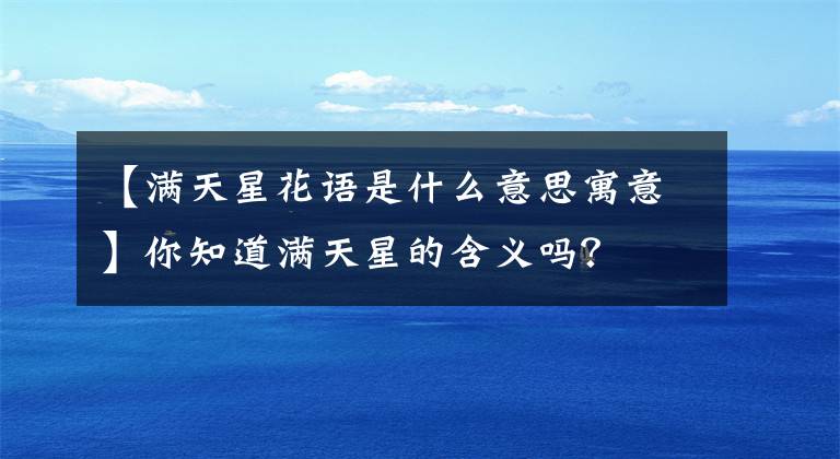 【滿天星花語是什么意思寓意】你知道滿天星的含義嗎？