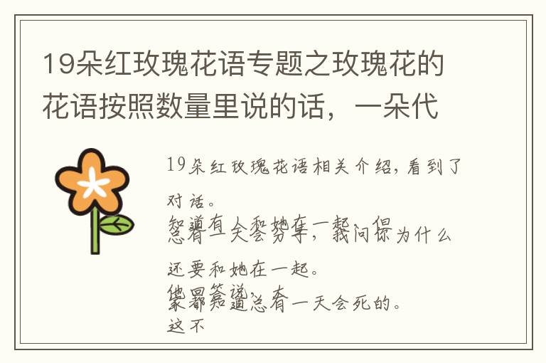 19朵紅玫瑰花語專題之玫瑰花的花語按照數(shù)量里說的話，一朵代表惟一的愛