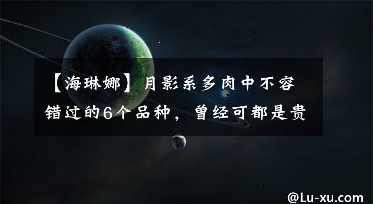 【海琳娜】月影系多肉中不容錯過的6個品種，曾經(jīng)可都是貴貨，出狀態(tài)很仙氣