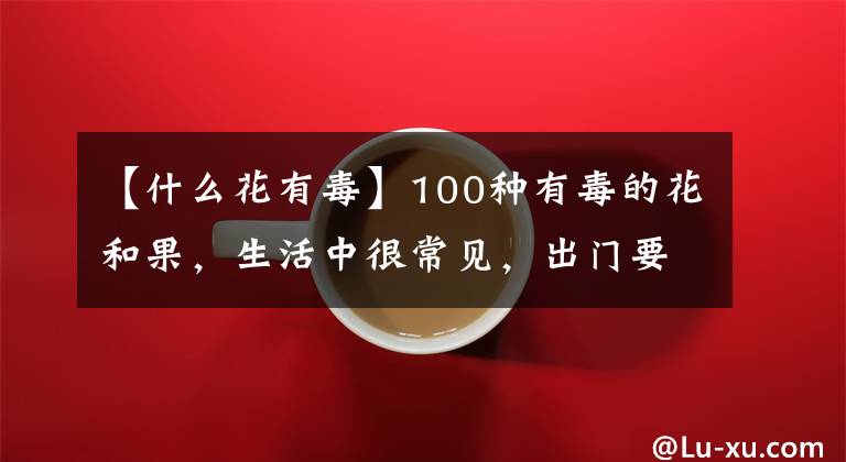 【什么花有毒】100種有毒的花和果，生活中很常見(jiàn)，出門要小心，避免受傷害