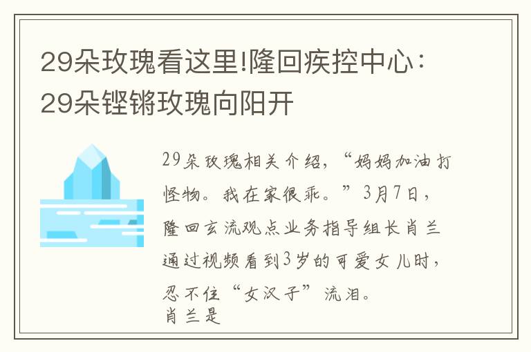 29朵玫瑰看這里!隆回疾控中心：29朵鏗鏘玫瑰向陽開