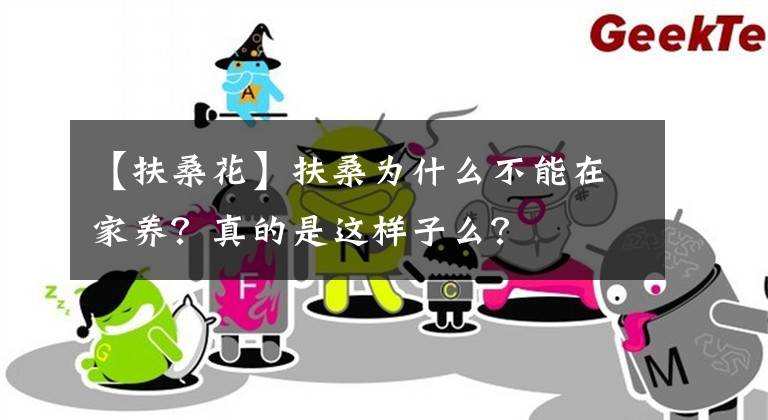 【扶桑花】扶桑為什么不能在家養(yǎng)？真的是這樣子么？