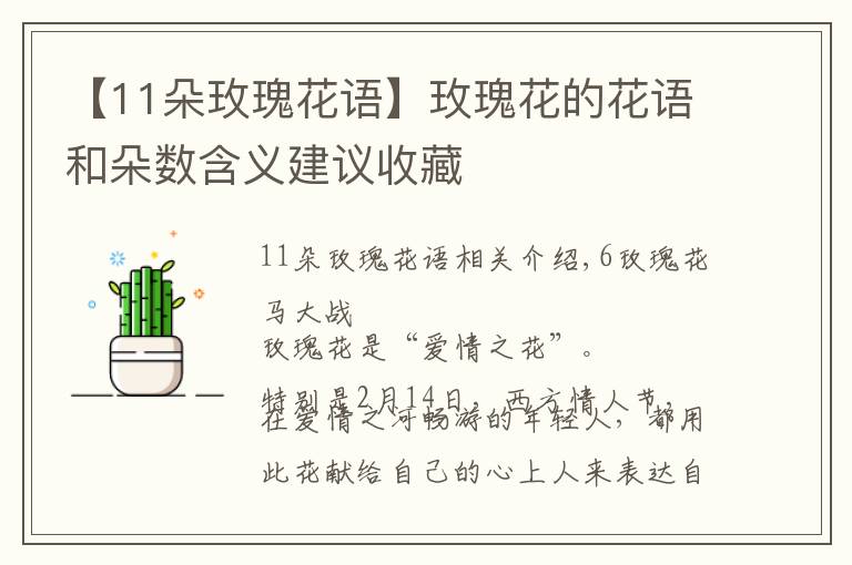 【11朵玫瑰花語】玫瑰花的花語和朵數(shù)含義建議收藏