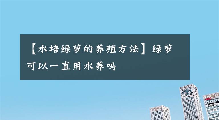 【水培綠蘿的養(yǎng)殖方法】綠蘿可以一直用水養(yǎng)嗎