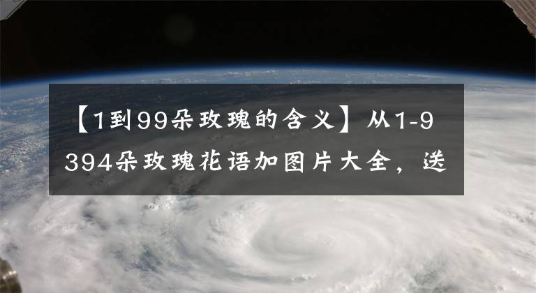 【1到99朵玫瑰的含義】從1-9394朵玫瑰花語加圖片大全，送花，原來這么多講究！