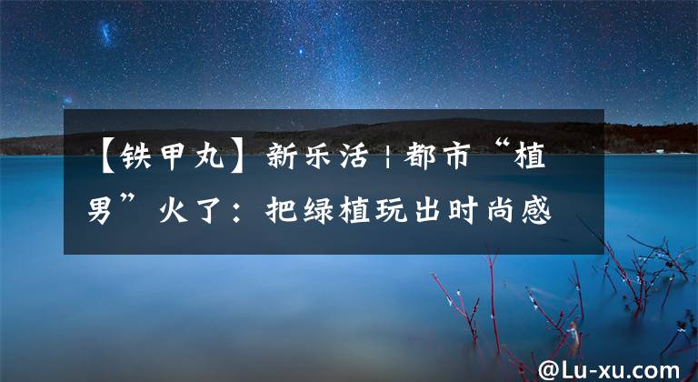 【鐵甲丸】新樂(lè)活 | 都市“植男”火了：把綠植玩出時(shí)尚感