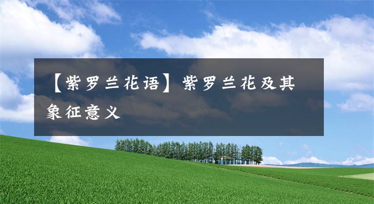 【紫羅蘭花語(yǔ)】紫羅蘭花及其象征意義