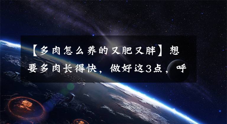 【多肉怎么養(yǎng)的又肥又胖】想要多肉長得快，做好這3點，呼呼竄大個，葉片胖嘟嘟長滿盆