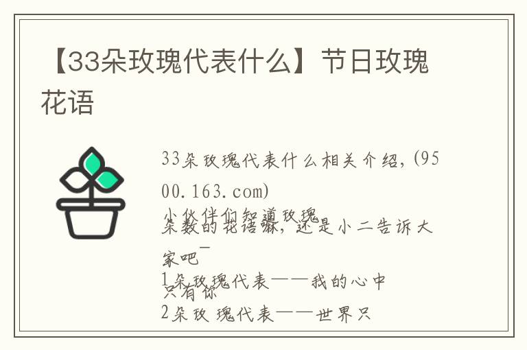 【33朵玫瑰代表什么】節(jié)日玫瑰花語