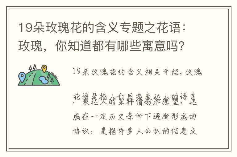 19朵玫瑰花的含義專題之花語：玫瑰，你知道都有哪些寓意嗎？