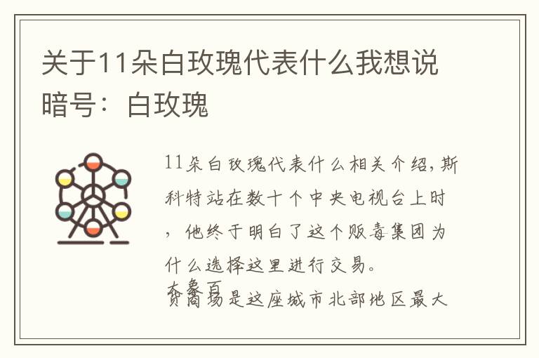 關(guān)于11朵白玫瑰代表什么我想說暗號：白玫瑰