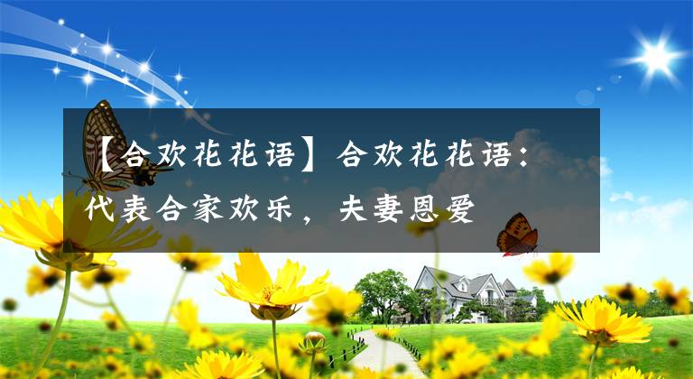 【合歡花花語】合歡花花語：代表合家歡樂，夫妻恩愛