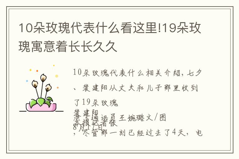 10朵玫瑰代表什么看這里!19朵玫瑰寓意著長長久久