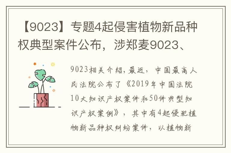 【9023】專題4起侵害植物新品種權(quán)典型案件公布，涉鄭麥9023、寧麥13等！