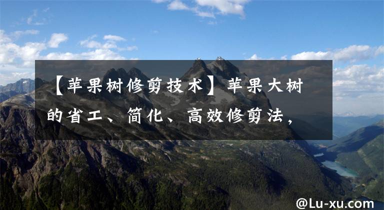 【蘋果樹修剪技術(shù)】蘋果大樹的省工、簡化、高效修剪法，太簡單了