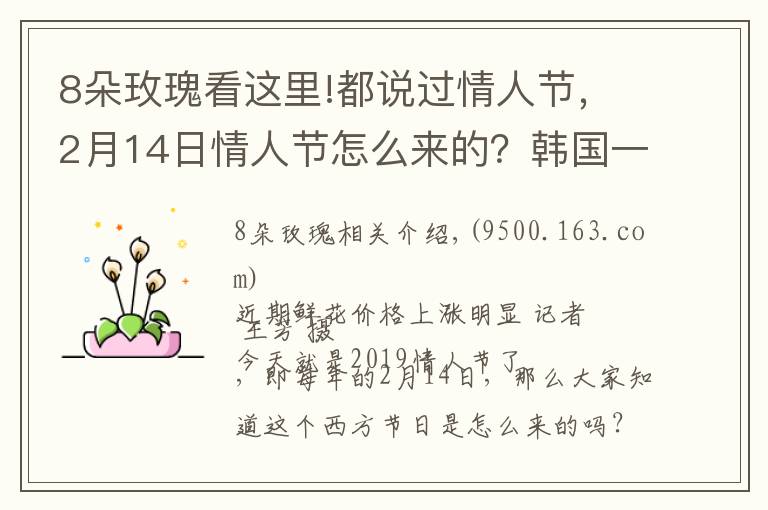 8朵玫瑰看這里!都說過情人節(jié)，2月14日情人節(jié)怎么來的？韓國一年居然有12個(gè)情人節(jié)