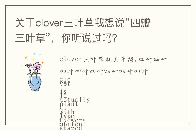 關(guān)于clover三葉草我想說“四瓣三葉草”，你聽說過嗎？