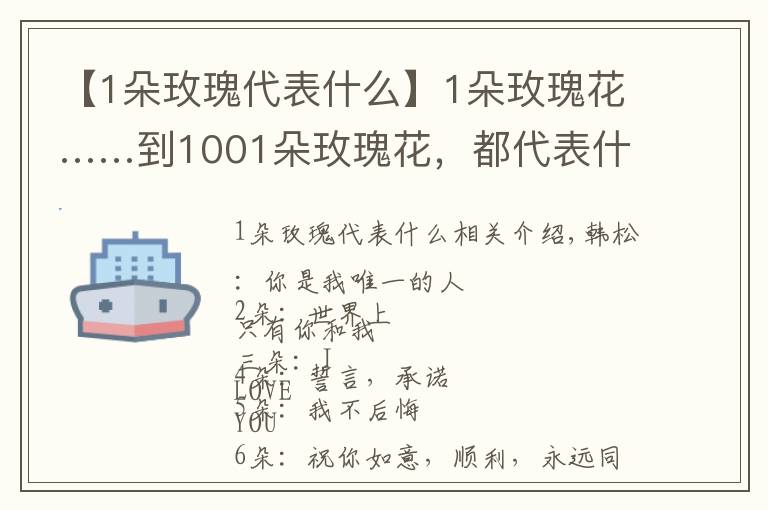 【1朵玫瑰代表什么】1朵玫瑰花……到1001朵玫瑰花，都代表什么，你知道嗎？