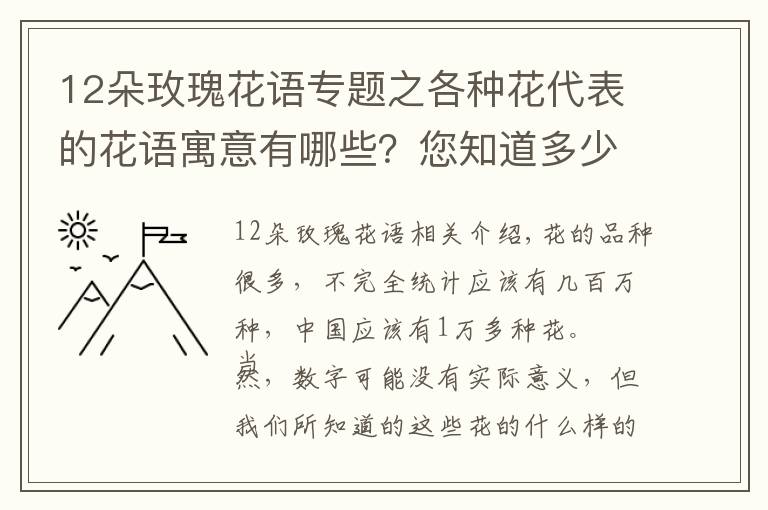 12朵玫瑰花語專題之各種花代表的花語寓意有哪些？您知道多少呢